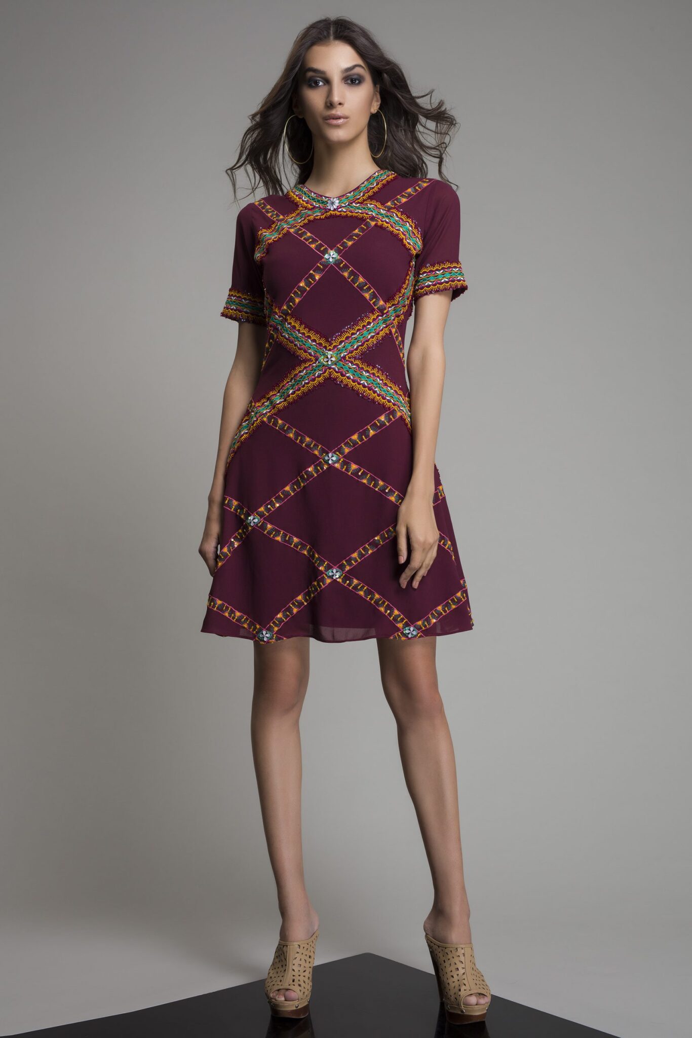 Exclusive Embroidered mini dress