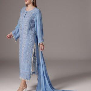 Blue Heavy Embroidered Chikan Suit With Dupatta