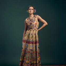 Polish Embroidered Kali Gown